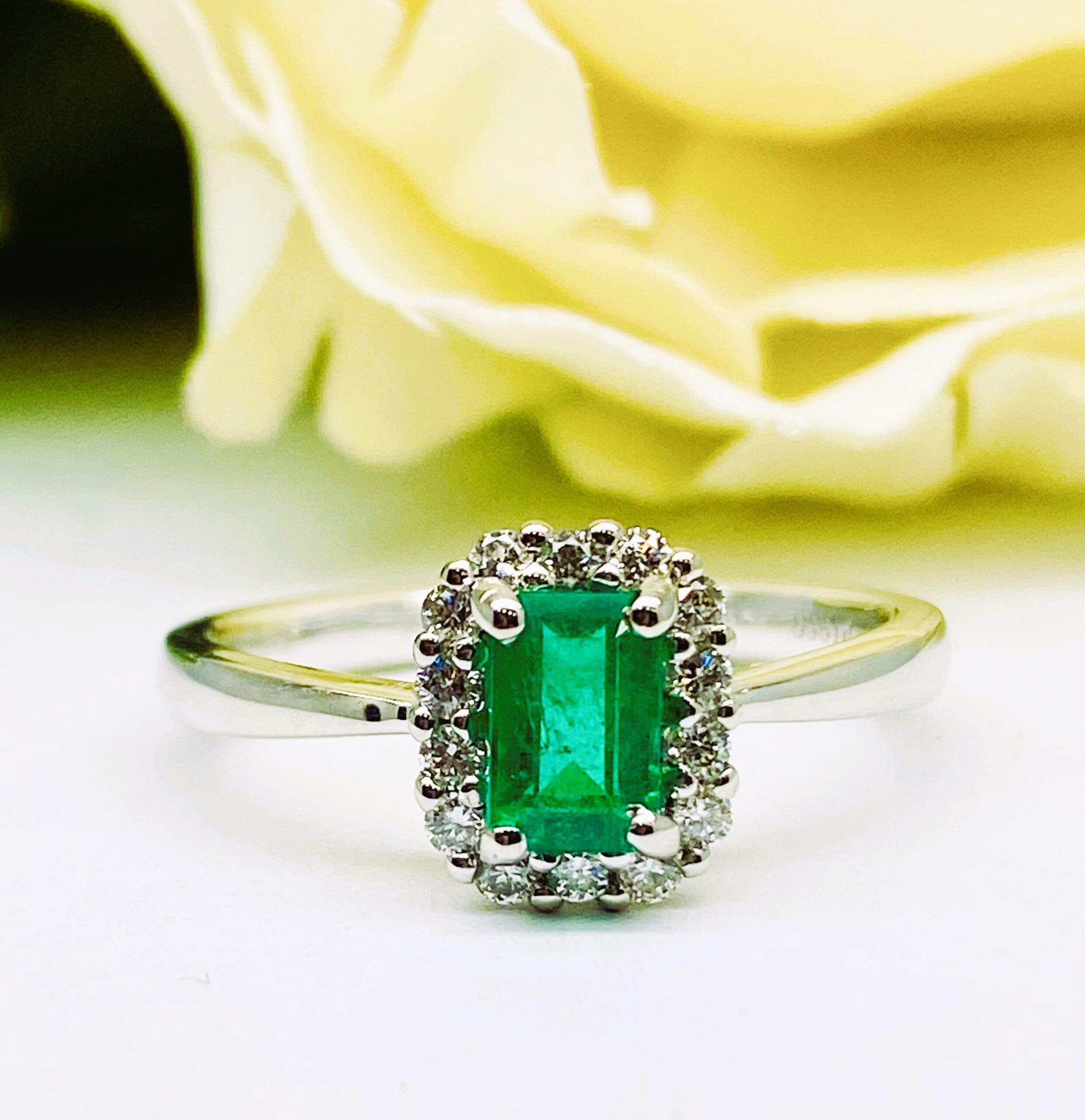 15600050 Platinum Emerald And Diamond Halo Cluster Ring