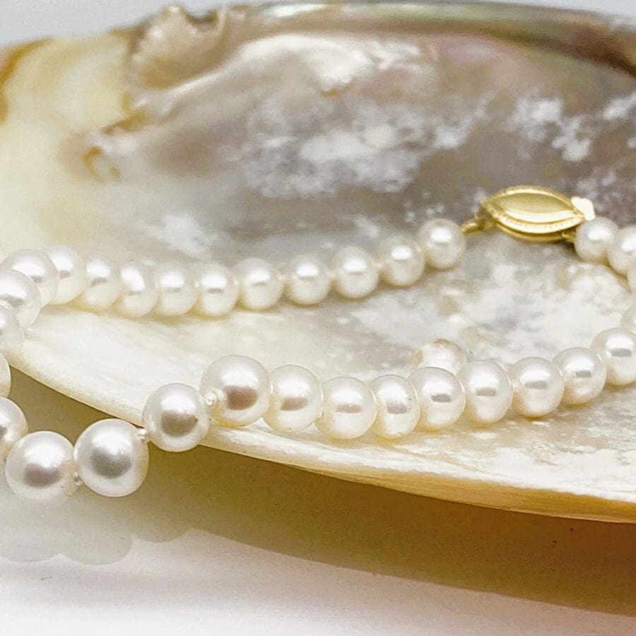 41300022 14K Yellow Gold Cultured White Pearl Bracelet