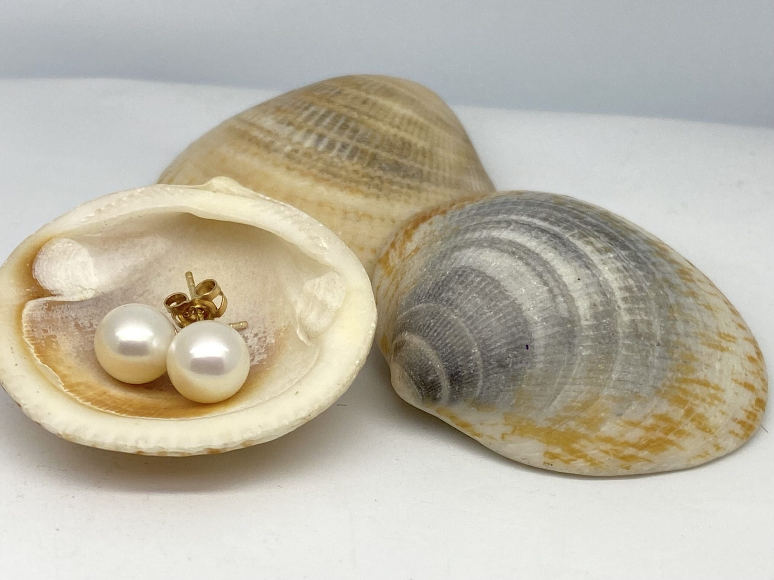 15700057 9ct Yellow Gold White Fresh Water Pearl Earrings
