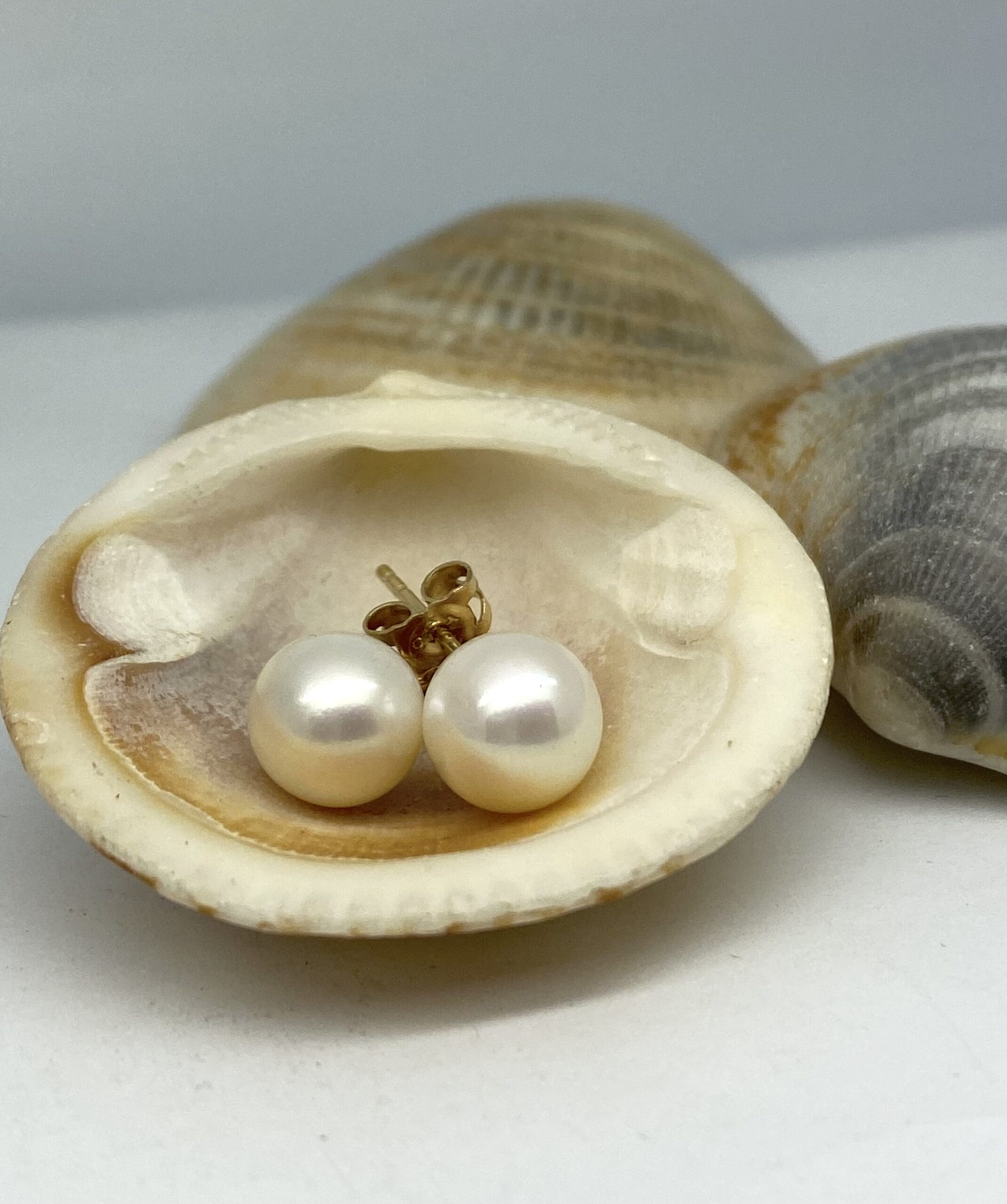 15700057 9ct Yellow Gold White Fresh Water Pearl Earrings - Image 3