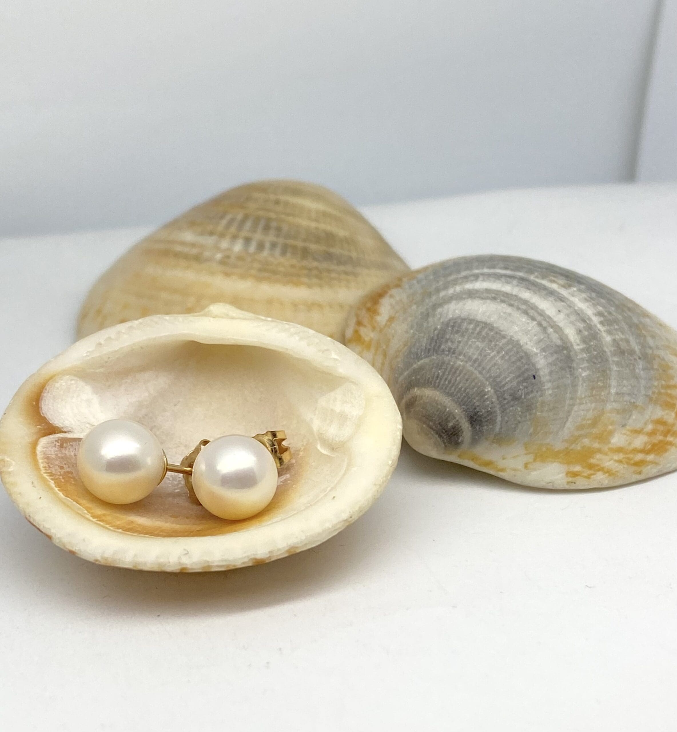 15700057 9ct Yellow Gold White Fresh Water Pearl Earrings - Image 2