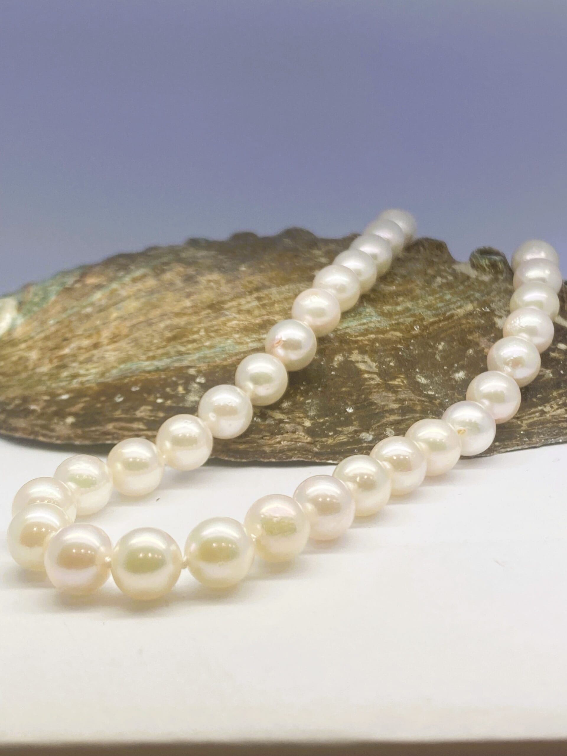 15700078 Cultured Pearl 18 Inch Necklace - Image 2