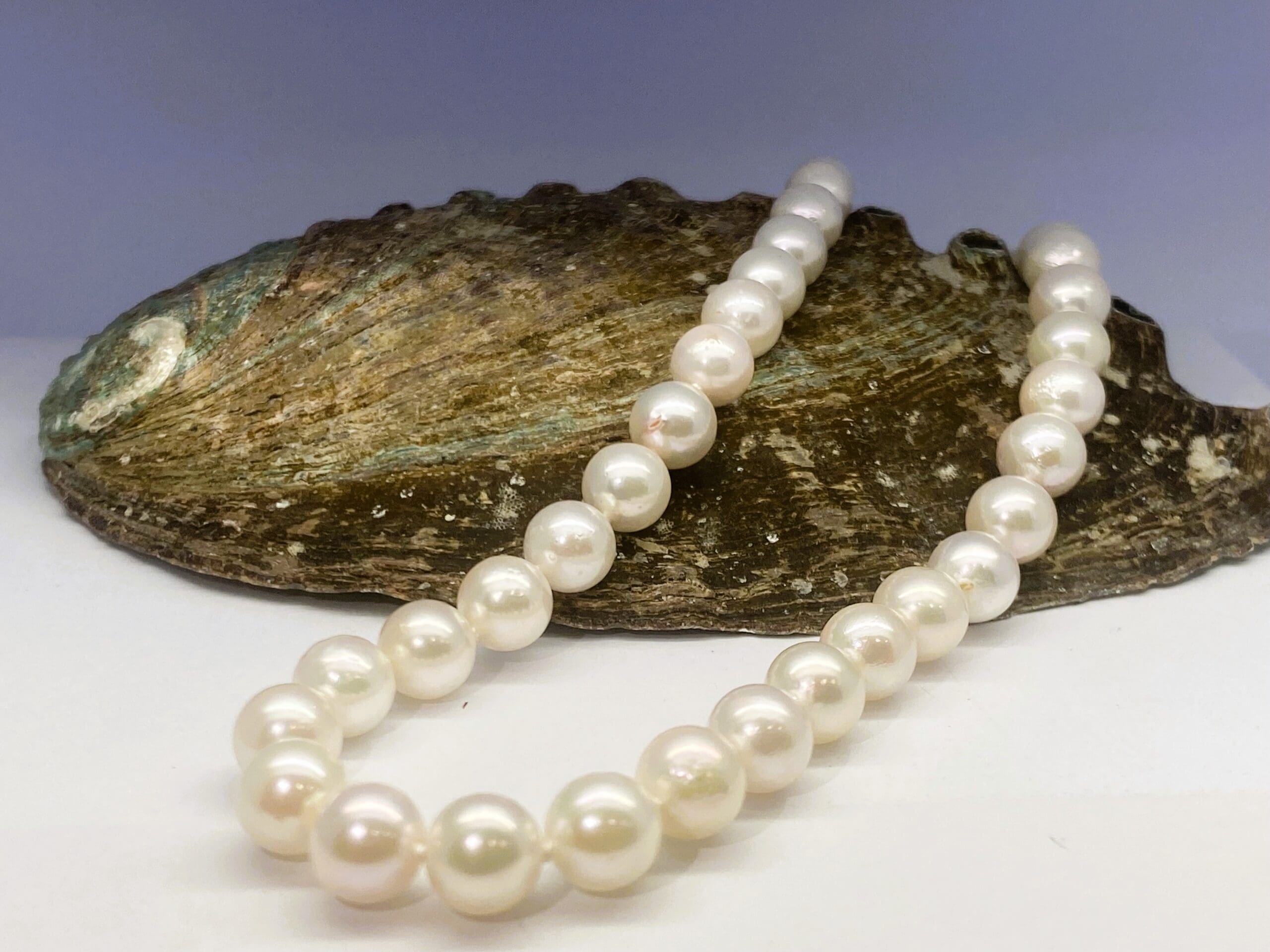 15700078 Cultured Pearl 18 Inch Necklace - Image 3