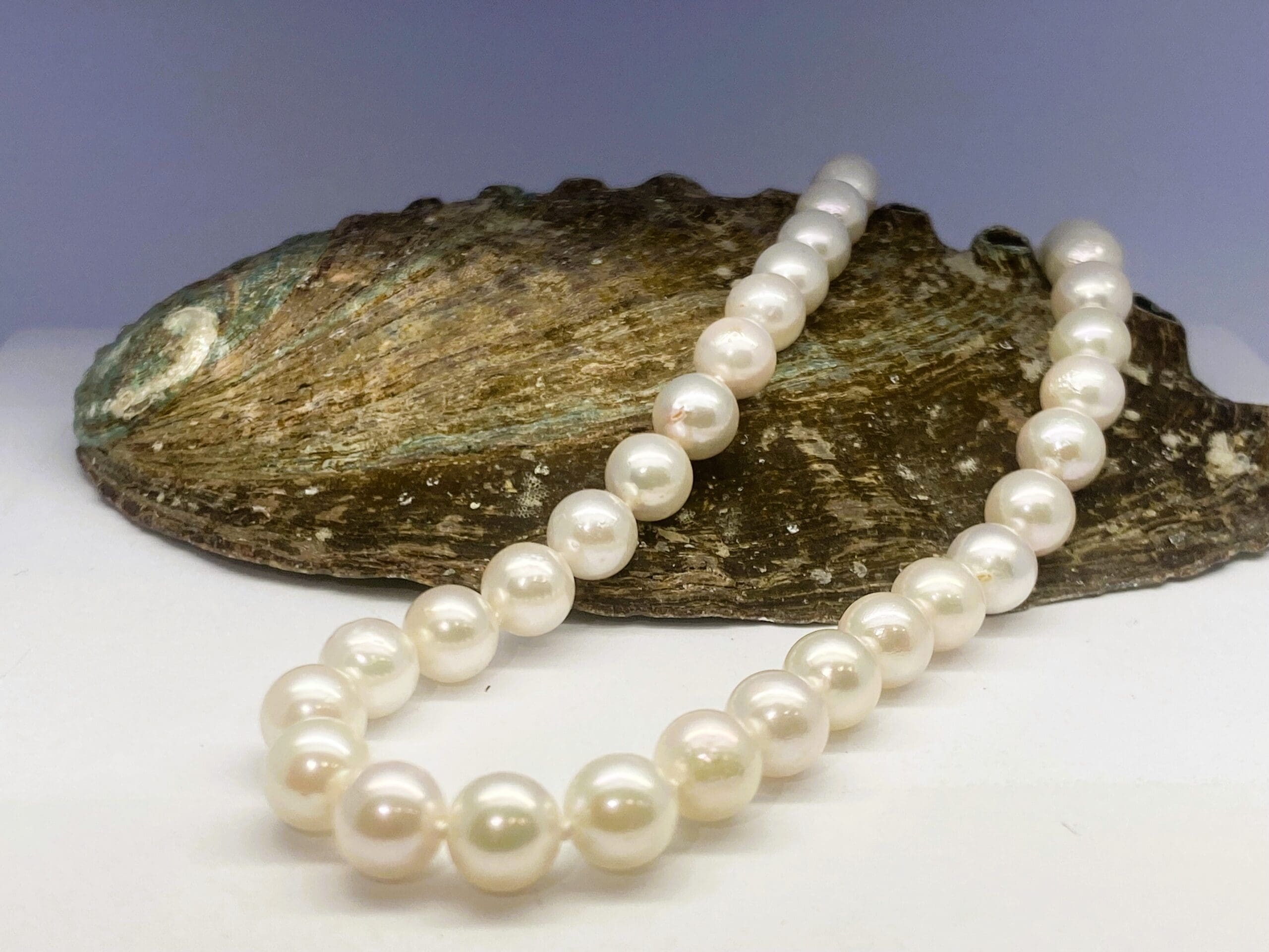 15700078 Cultured Pearl 18 Inch Necklace